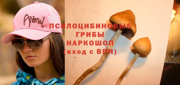 мяу мяу кристалл Дмитриев