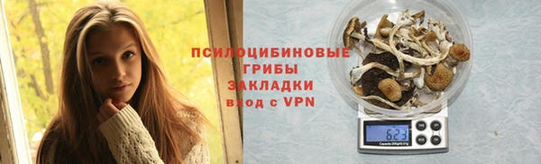 крисы Дмитровск