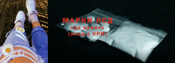 гашик Ельня