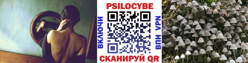 Псилоцибиновые грибы Cubensis  Купить где  Касли 